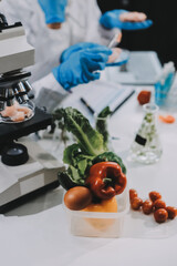 Chemical Laboratory of the Food supply . Food in laboratory, dna modify .GMO Genetically modified food in lab