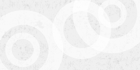 Fototapeta premium Abstract background with gray circle. White and grey abstract modern transparency circle presentation background. Vector circles template vector design. Object web design. Round shape. Minimal poster