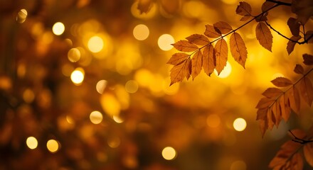 Golden Leaves with Blurred Lights in Warm Background Atmosphere