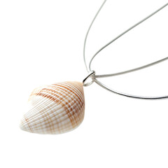 Trendy Minimalist Shell Necklace Featuring One Large Isolated on Transparent Background