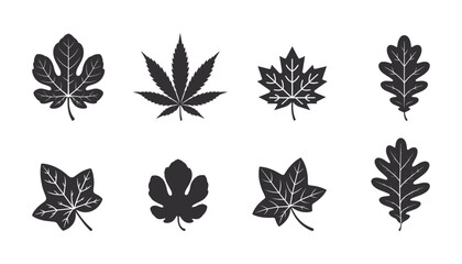 Oak leave, Cannabis Leaf, Clover, maple leaf, fig leaf, Birch leaf set ,silhouette vector illustration. isolated on white background. 