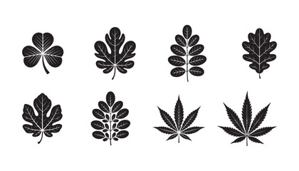 Oak leave, Cannabis Leaf, Clover, maple leaf, fig leaf, Birch leaf set ,silhouette vector illustration. isolated on white background. 