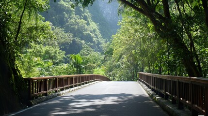 Fototapeta premium wooden bridge in the forest