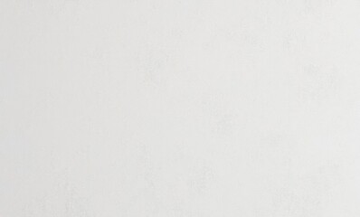 Plain white textured background for various design applications.
