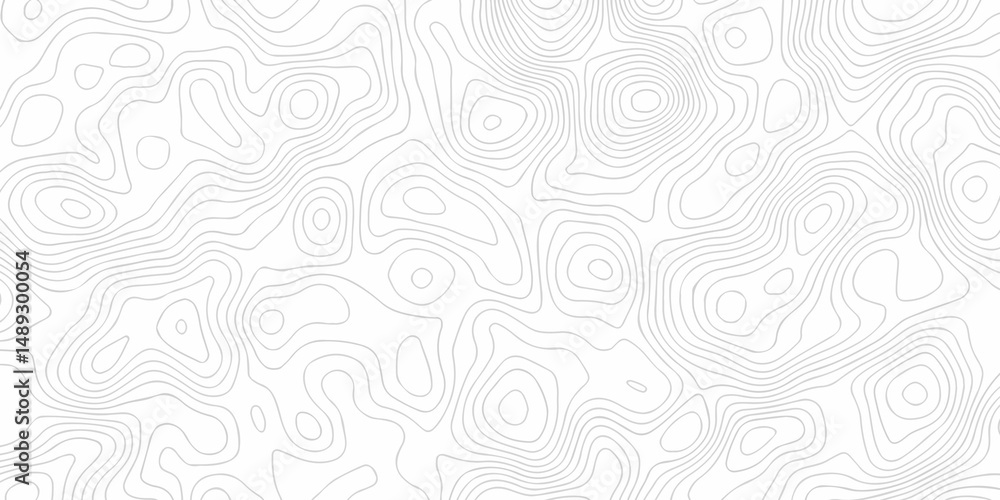 Poster abstract minimal white curve grid map and topo contour map background. topographic contour lines. se