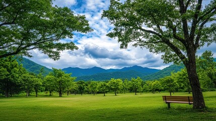 bench in the mountains