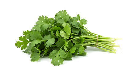 Fresh Cilantro isolated on white background. American food