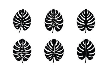 Fototapeta premium classic monstera leaf nature icon