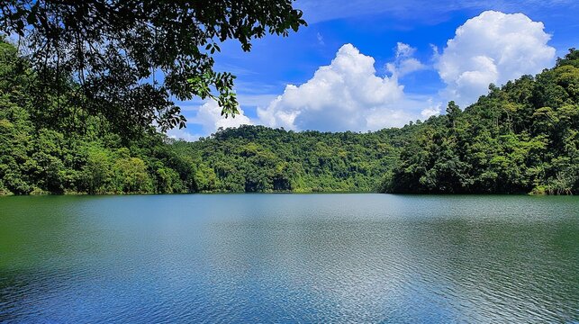 mountain lake in the summer