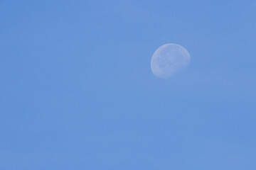 The moon in sky the morning.