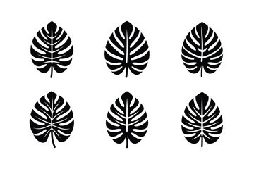 Fototapeta premium classic monstera leaf silhouette motif