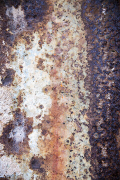 Brown rust detail