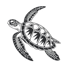 Obraz premium A simple black and white illustration of a sea turtle viewed from above. The turtle has a detailed shell with geometric patterns, flippers extended, and a textured head.