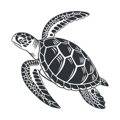 A simple black and white illustration of a sea turtle viewed from above. The turtle has a detailed shell with geometric patterns, flippers extended, and a textured head.