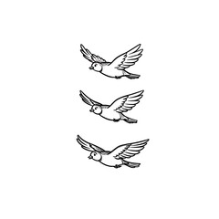 Fototapeta premium A black vector silhouette illustration depicts a flying dove, a symbol of peace and freedom