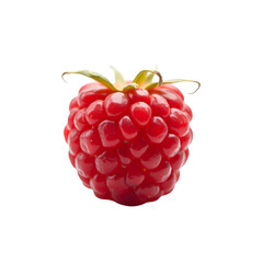 Highly detailed and lifelike raspberry with intricate textures showcasing its vibrant color and unique structure