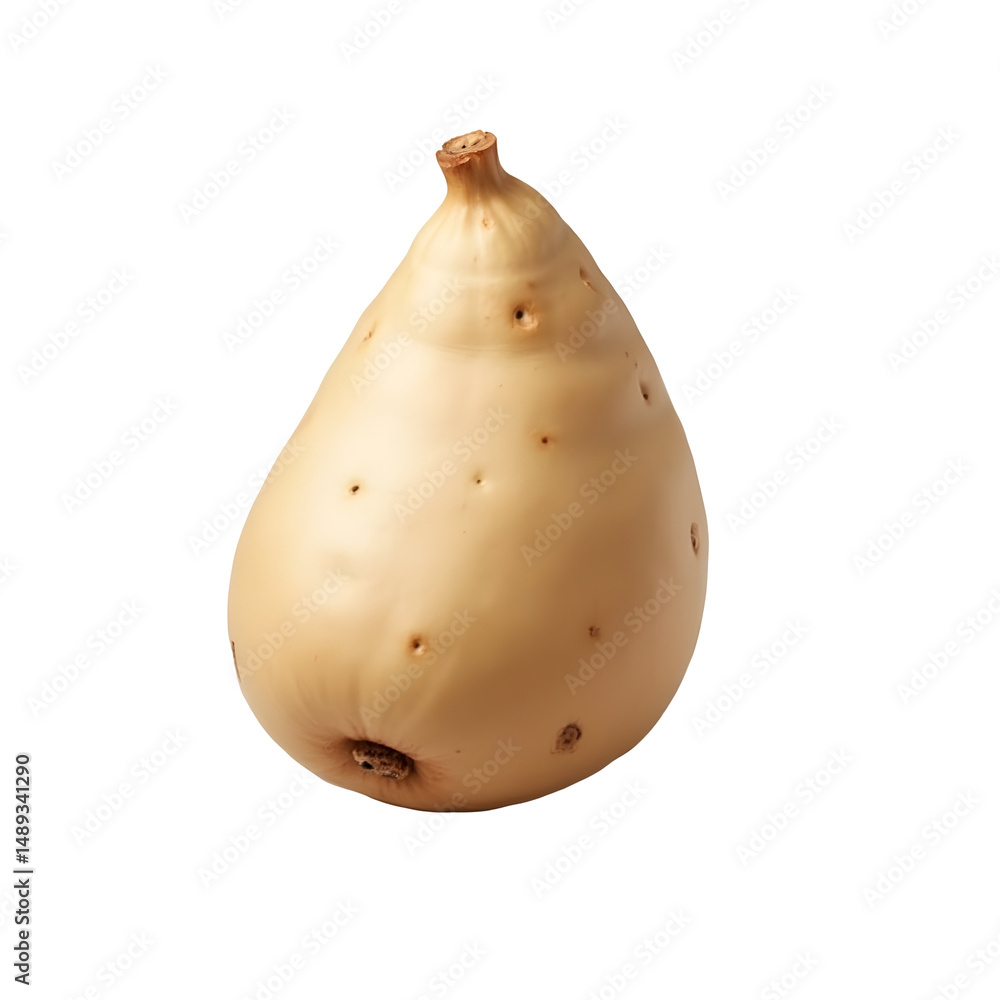 Poster highly detailed and realistic depiction of a fresh calabash gourd against a simple background showca