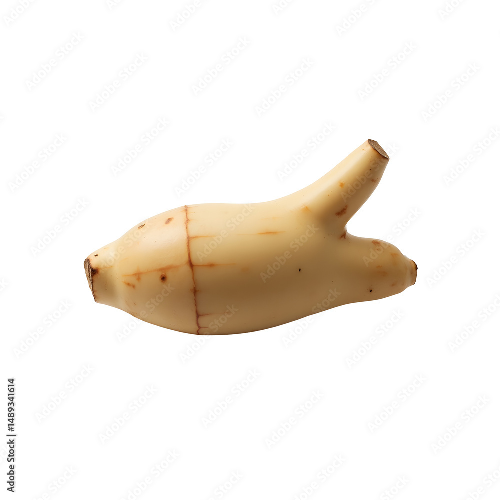 Poster highly detailed and realistic depiction of a fresh lotus root showcasing its unique shape and textur