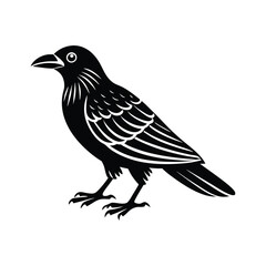 Obraz premium crow isolated on white, crow vector illustration, petvector art, crow silhouette, animal vector icon, crow line art, eps 