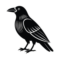 Fototapeta premium crow isolated on white, crow vector illustration, petvector art, crow silhouette, animal vector icon, crow line art, eps 