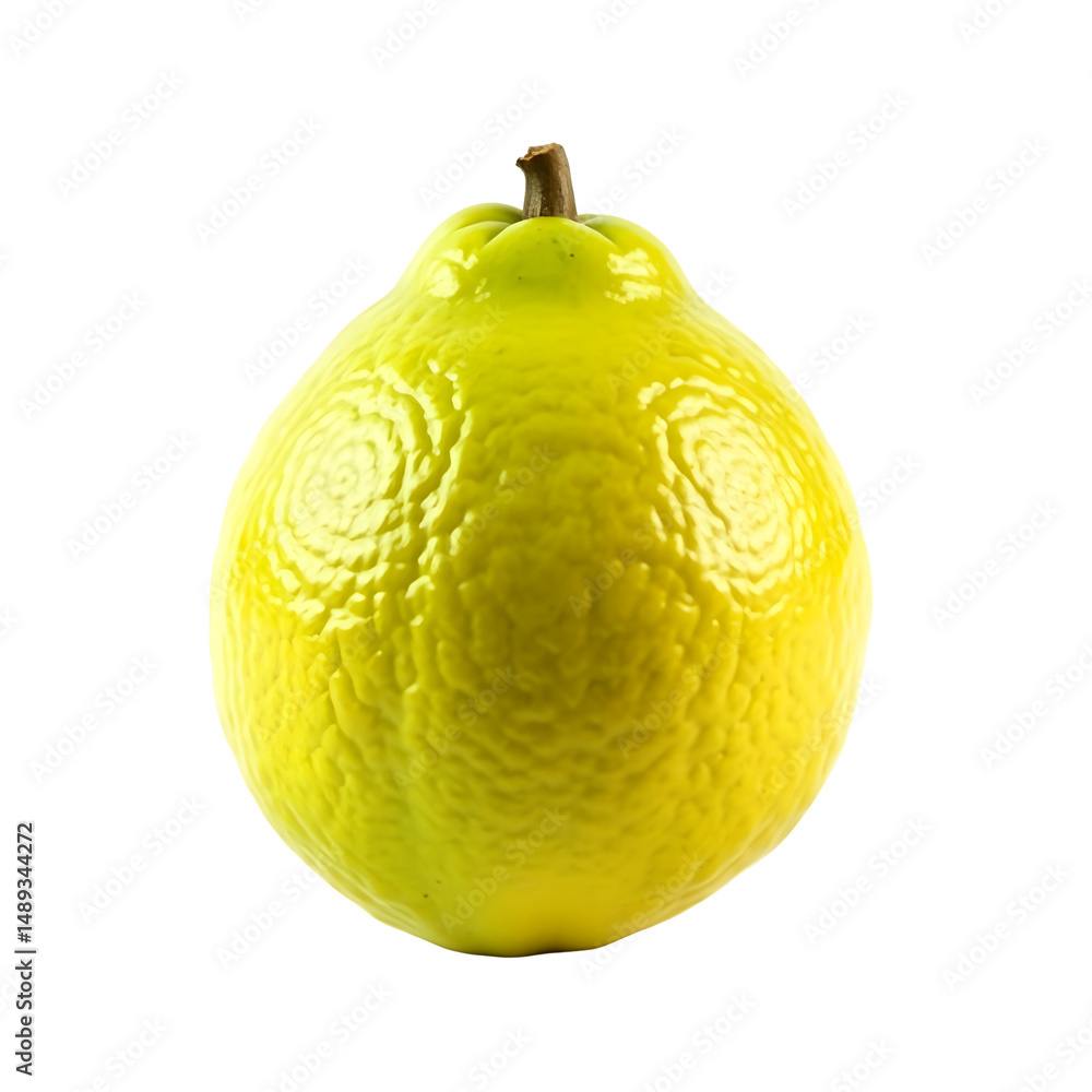 Poster highly detailed and realistic depiction of a single melon with isolated presentation emphasizing tex