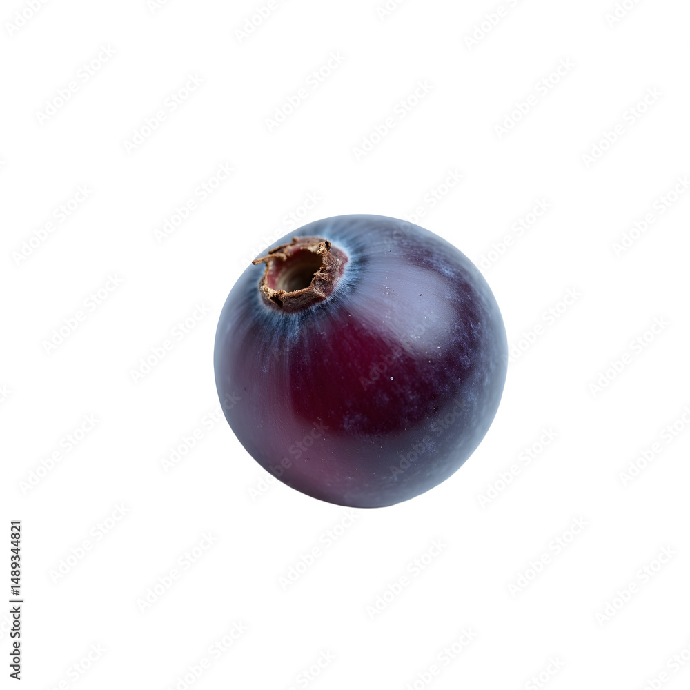 Poster highly detailed and realistic depiction of a single round fruit with a stem on a plain solid setting