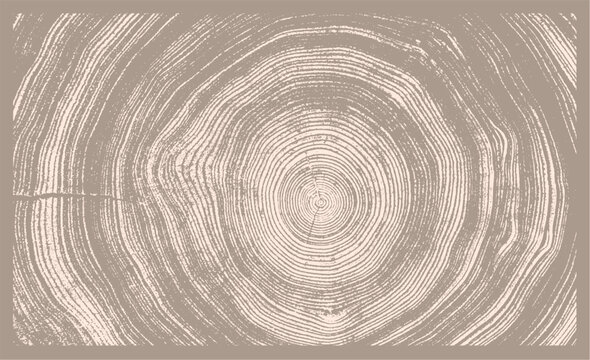 Monotone pink tan and nude botanical tree rings of end grain of wood slab. Growth rings art with texture and cracked surface.