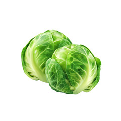 Fresh Brussels Sprouts, Two Vibrant Green Vegetables Isolated on Black Background