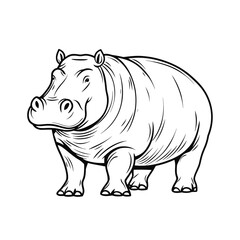 Obraz premium Hippopotamus outline illustration in a minimalist style 
