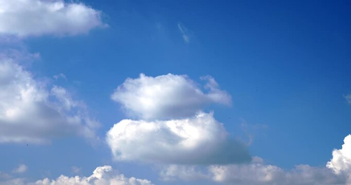 Spring landscape with blue sky and white clouds