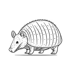 Armadillo in a simple line drawing style representing travel  