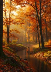 Obraz premium autumn in the forest