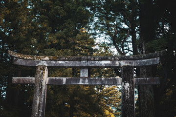 Torii gate, Japan