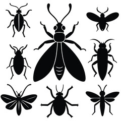 big insects color flat icons set