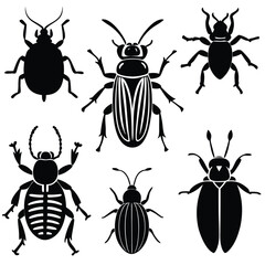 different bugs set insects summer species color