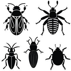 different bugs set insects summer species color