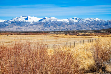 Snow capped mountains