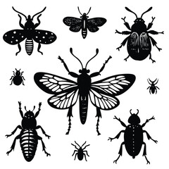 insects collection vintage illustration from bro