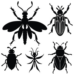 set of insects