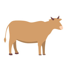 vector illustration of a bull