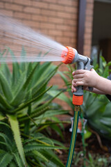 water hose with water sprinkler summer watering plants children playing with water outside