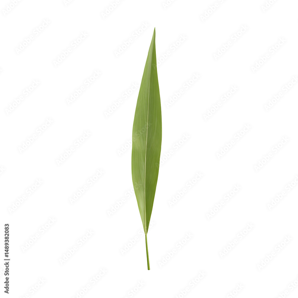 Poster highly detailed realistically rendered image of a single green leaf against a field creating a sense