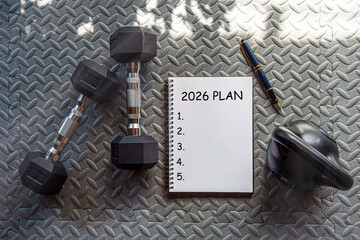 New Year 2026 Goals, Plans and Action Ideas New visionary and idea leaders will start exercising in...