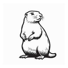 Prairie Dog Vector Images. Black and white Prairie Dog Vector Images on white background.
