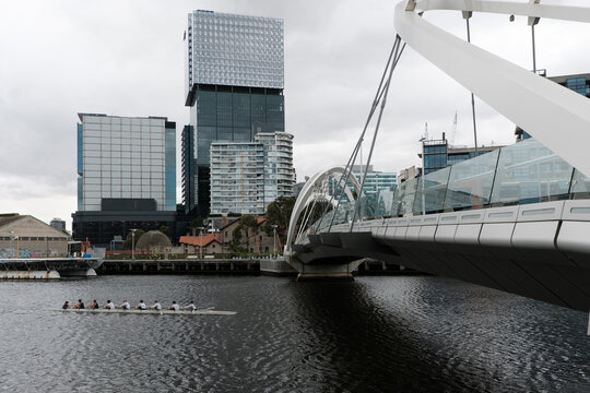 Rowers approaching Seafarers Bridge, Melbourne