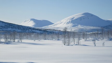 winter landscape with snow covered mountains