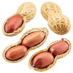 Isolated Four Peanut Pods with Peanuts: PNG on Transparent Background png