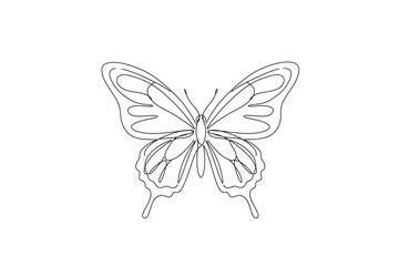 Symmetrical butterfly line drawing from top view isolated on transparent background 