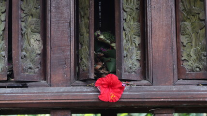 Intricate Carved Wooden Door with a Vibrant Red Hibiscus Flower