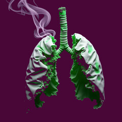 A haunting high-contrast image featuring a pair of lungs   isolate on white background Download